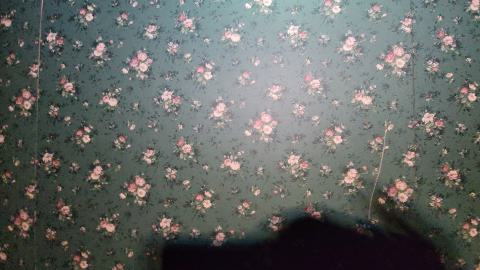 First One In! - 20241122_160138.jpg