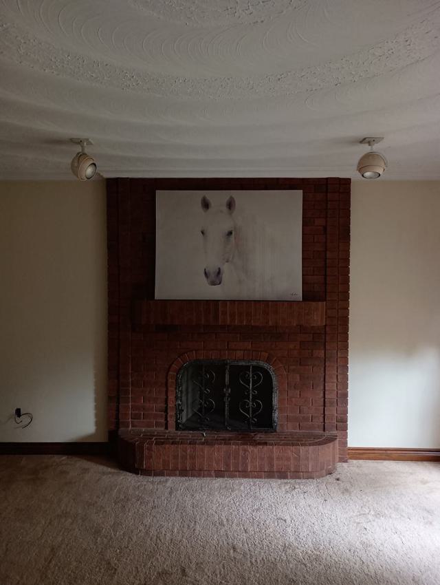 The 70s Are Calling - IMG_20240829_152740775.jpg