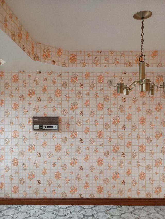 The 70s Are Calling - IMG_20240829_152845086.jpg