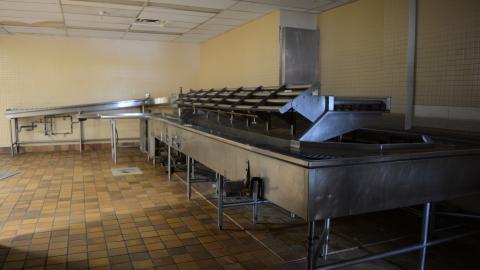 London Psych - May 2015 - 6.JPG