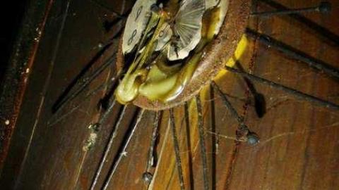 No April Fools Joke - 2f.jpg