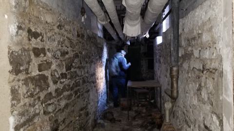 london psych - 20210309_162207.jpg