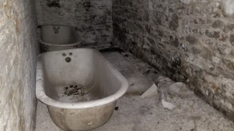 london psych - 20210309_163325.jpg