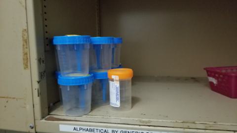 london psych - 20210309_151328.jpg