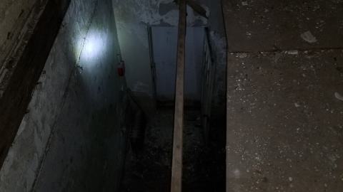 london psych - 20210309_164925.jpg