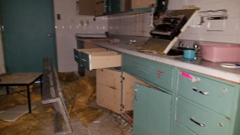 london psych - 20210309_151417.jpg