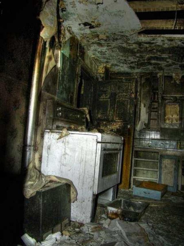 Black and White on Steeles photo 2