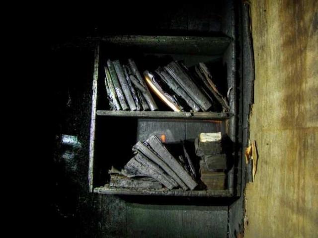 Black and White on Steeles photo 4