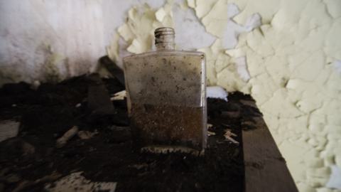 3 Visits - Nov. 2013 - July 2017 - 33.jpg