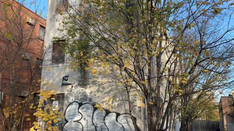 Screwed n’ Boarded - IMG_4306.jpeg