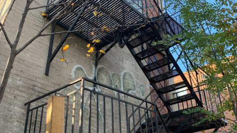 Screwed n’ Boarded - IMG_4307.jpeg