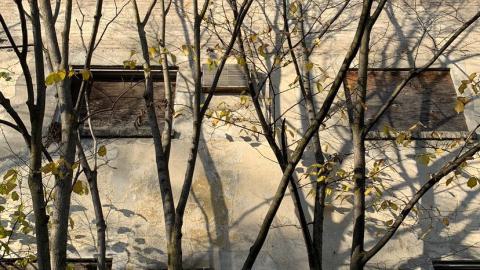 Screwed n’ Boarded - IMG_4308.jpeg