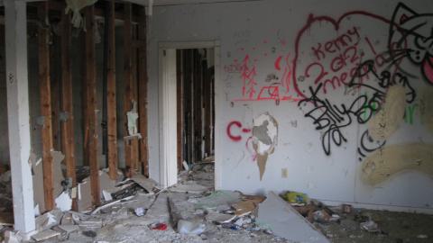 July 17, 2024 - IMG_0350.JPG