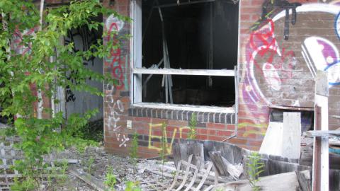 July 17, 2024 - IMG_0360.JPG