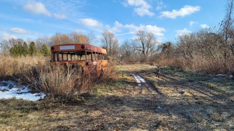 Newman Steel photo 5