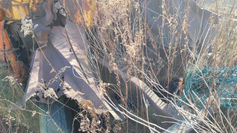 Bus, Trucks And Trailers - 20241214_125227.jpg