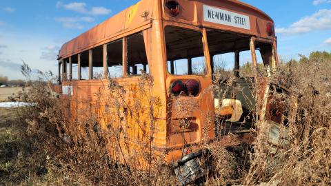 Bus, Trucks And Trailers - 20241214_125114.jpg