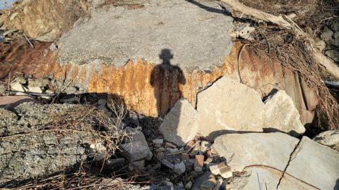 Bus, Trucks And Trailers - 20241214_124701.jpg