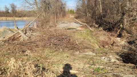 Bus, Trucks And Trailers - 20241214_124616.jpg