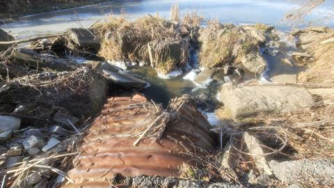 Bus, Trucks And Trailers - 20241214_124249.jpg