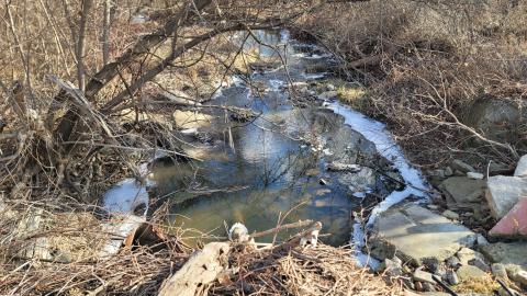 Bus, Trucks And Trailers - 20241214_124240.jpg