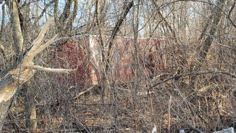 Bus, Trucks And Trailers - 20241214_124139.jpg