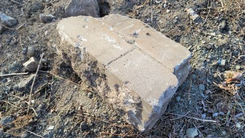 Bus, Trucks And Trailers - 20241214_123425.jpg