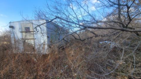 Bus, Trucks And Trailers - 20241214_123358.jpg