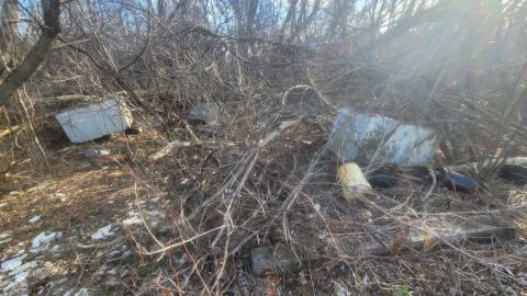 Bus, Trucks And Trailers - 20241214_123354.jpg