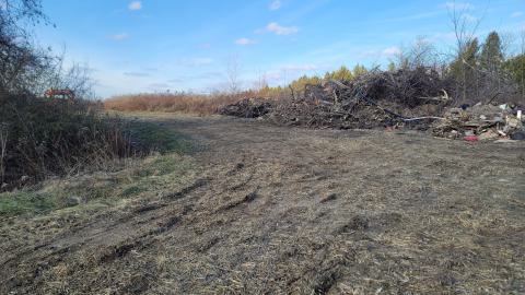 Bus, Trucks And Trailers - 20241214_123257.jpg