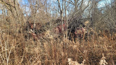 Bus, Trucks And Trailers - 20241214_123243.jpg