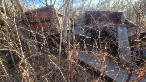 Bus, Trucks And Trailers - 20241214_123211.jpg