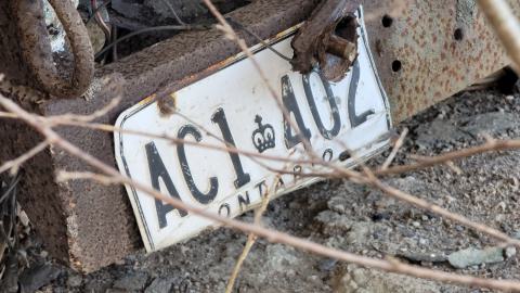 Bus, Trucks And Trailers - 20241214_123139.jpg