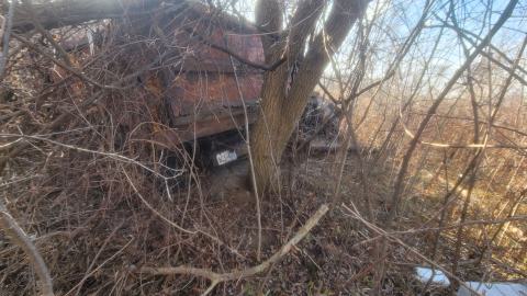 Bus, Trucks And Trailers - 20241214_123123.jpg