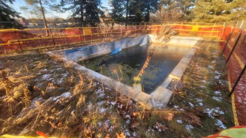 Clearing Things Up - 20241214_155714.jpg