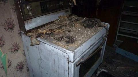 Charred Remains - P1050629.jpg