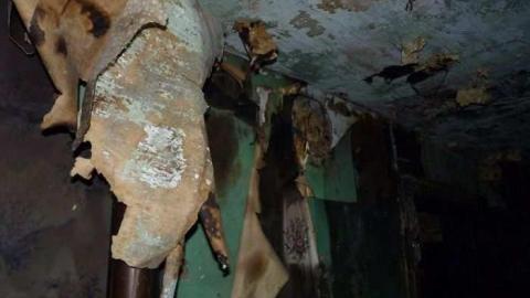 Charred Remains - P1050630.jpg