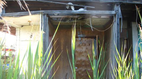 July 17, 2024 - IMG_0278.JPG