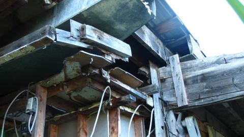 July 17, 2024 - IMG_0281.JPG