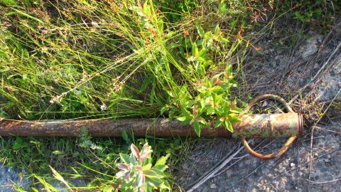 July 17, 2024 - IMG_0283.JPG