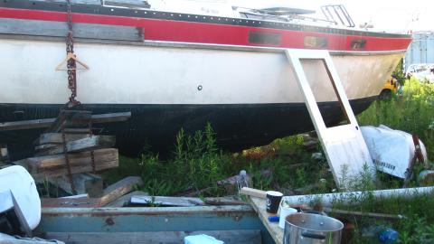 July 17, 2024 - IMG_0284.JPG