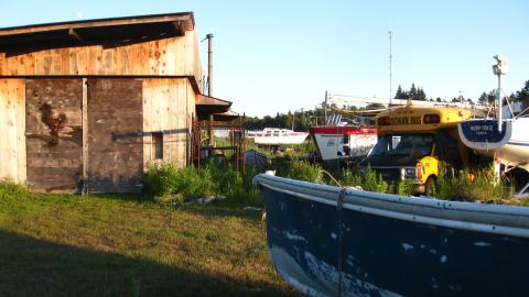 July 17, 2024 - IMG_0299.JPG