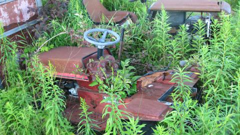 July 17, 2024 - IMG_0302.JPG