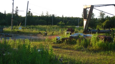 July 17, 2024 - IMG_0304.JPG