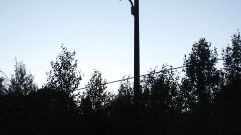 July 17, 2024 - IMG_0318.JPG