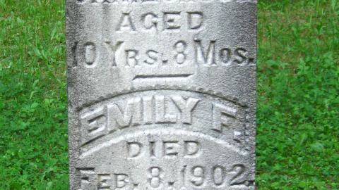 Photo from Dufferin Bridge Methodist Cemetery