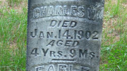 Dufferin Bridge Methodist Cemetery - IMG_0242.JPG