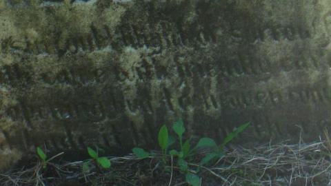 Seguin Falls Cemetery - IMG_0183a.JPG
