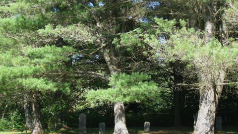 Seguin Falls Cemetery - IMG_0185.JPG