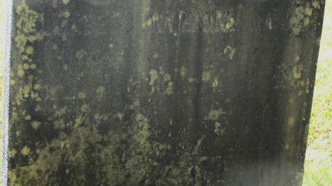 Seguin Falls Cemetery - IMG_0193.JPG